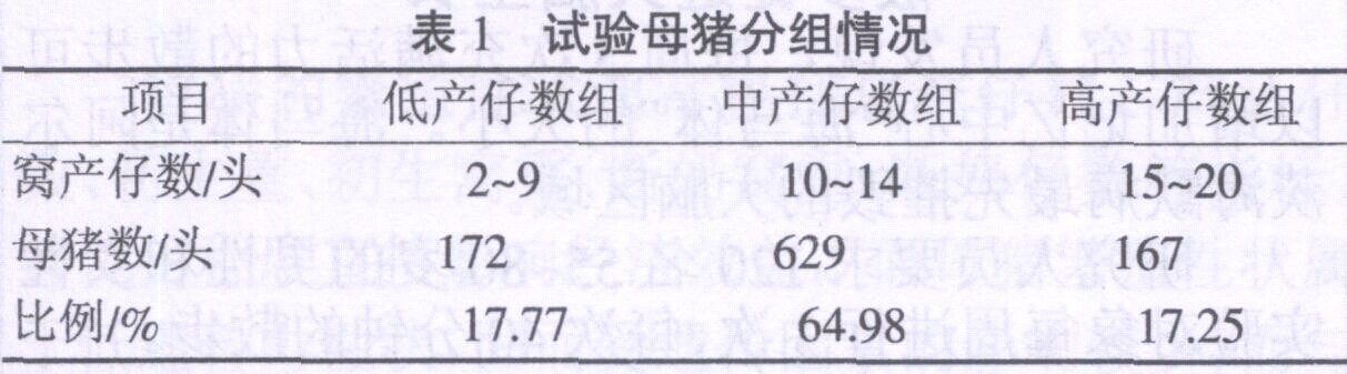 QQ图片20150109164954.jpg